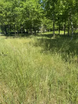 Image du modèle de maison SAUGNAC