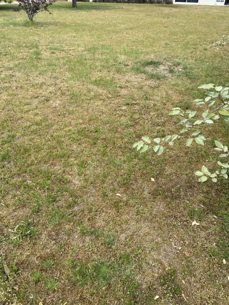 Image du terrain Terrain à bâtir de 570 m² à GUJAN-MESTRAS (33)
