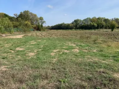 Image du modèle de maison Terrain Portets
