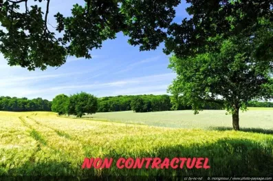 Image du modèle de maison normal_Un_paysage_de_campagne