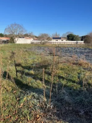 Image du modèle de maison sang