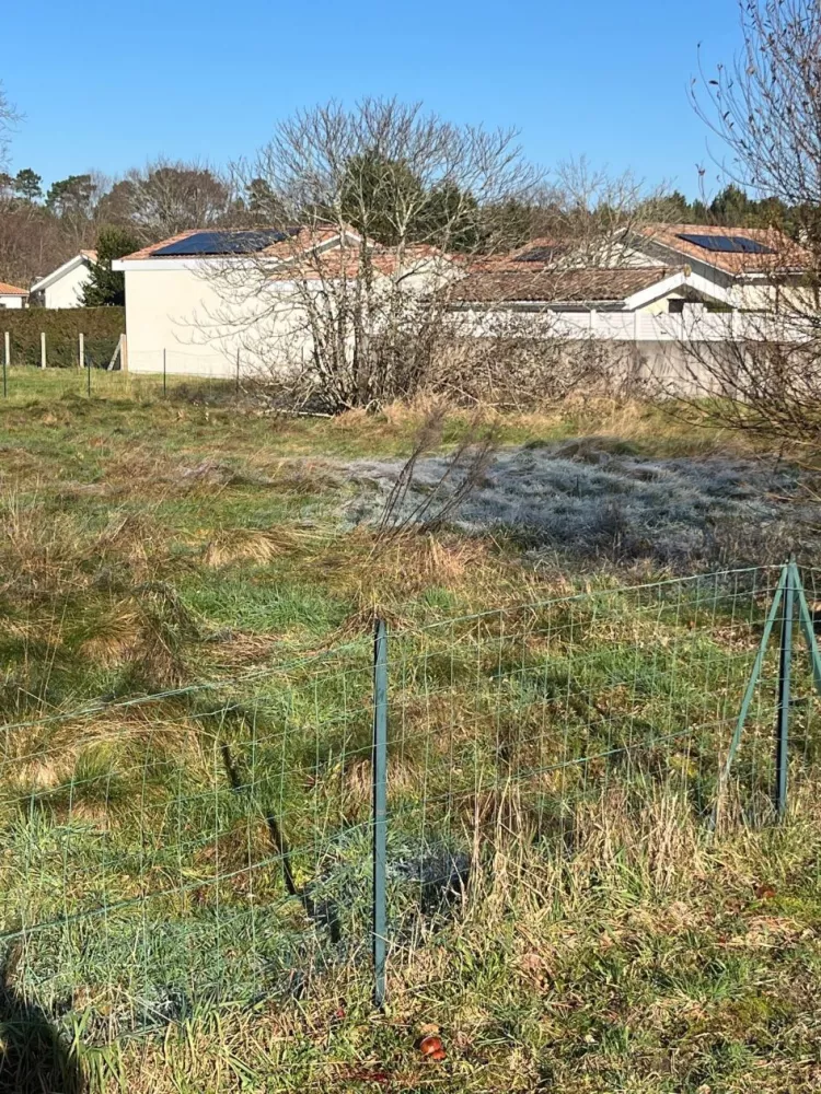Image du modèle de maison sang2
