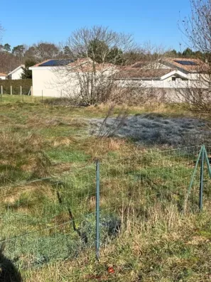 Image du modèle de maison sang2
