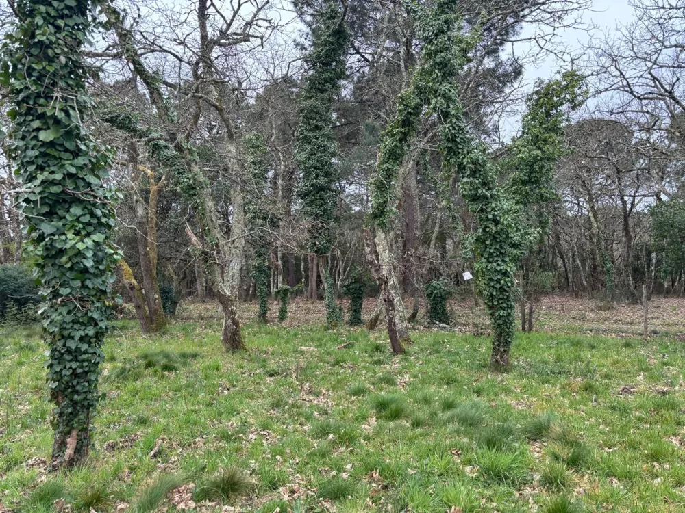 Image du modèle de maison Andernos 1