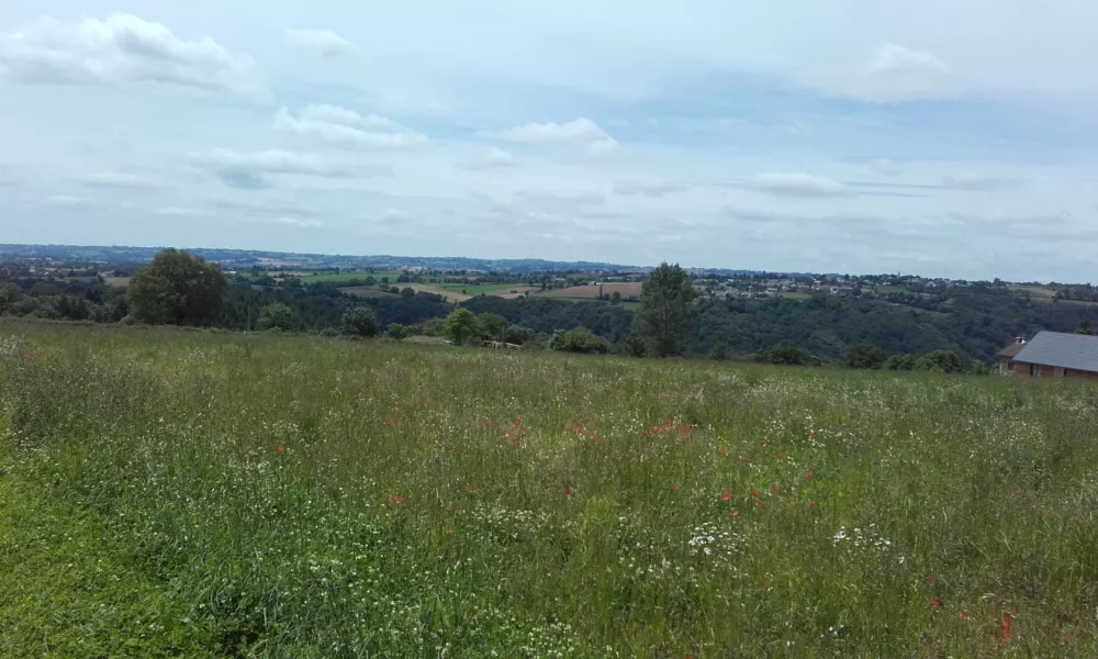 Image du terrain Terrain à bâtir de 1142 m² à COMPS-LA-GRAND-VILLE