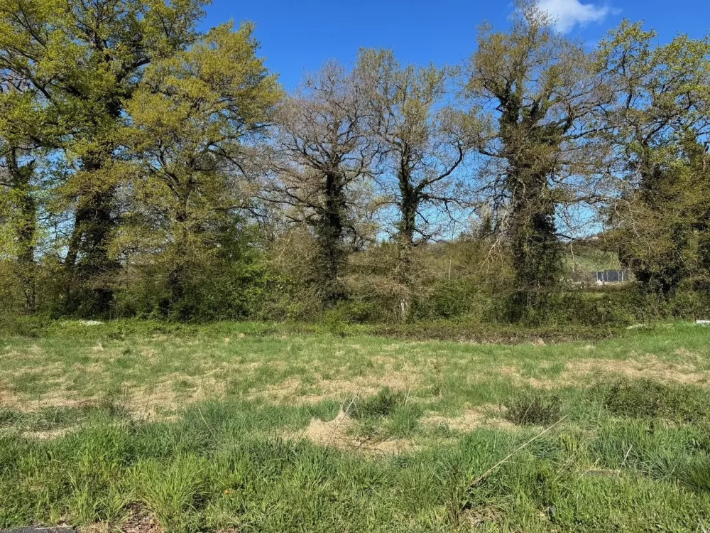 Image du modèle de maison M4
