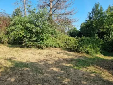 Image du modèle de maison 20240724_180534