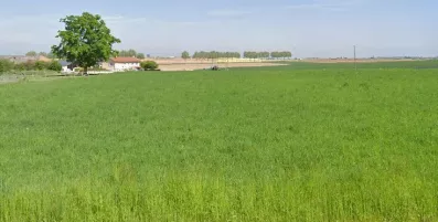 Image du modèle de maison Capture
