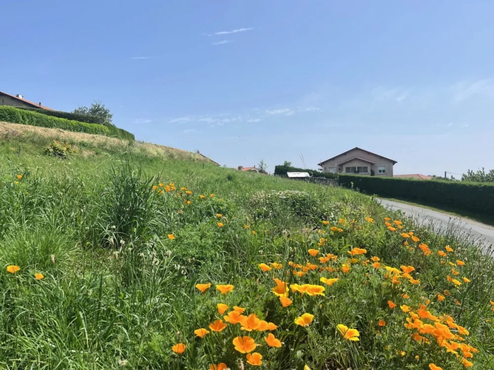 Image du modèle de maison IMG_0826m