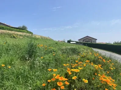 Image du modèle de maison IMG_0826m