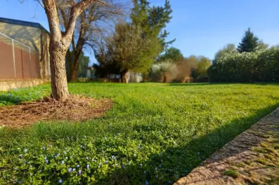 Image du modèle de maison mions parcelle