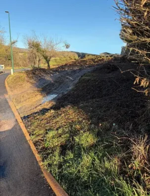 Image du modèle de maison Capture