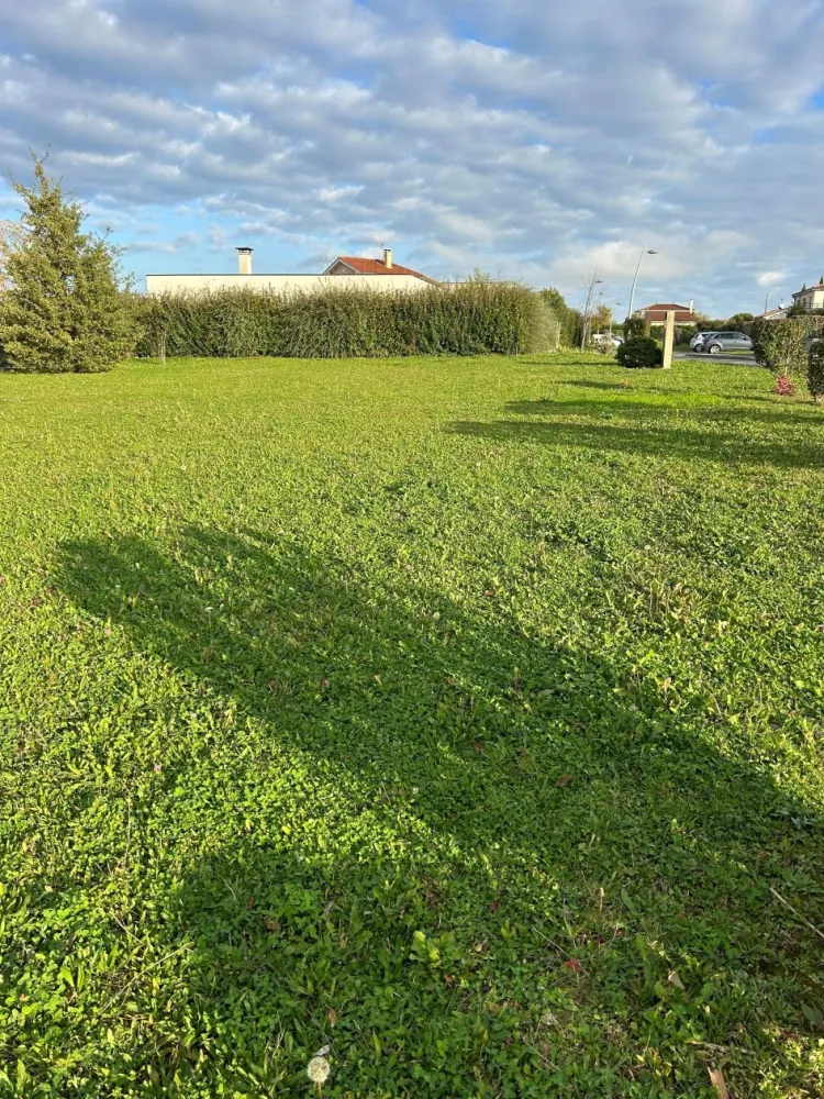Image du terrain  