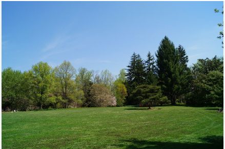 Image du modèle de maison Fausse annonce terrain 