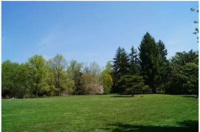 Image du modèle de maison Fausse annonce terrain 