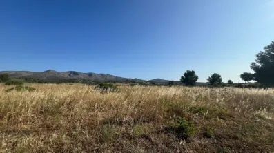 Image du modèle de maison 1.jpg