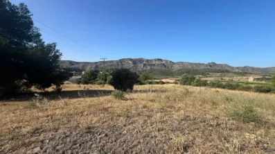 Image du modèle de maison 4.jpg