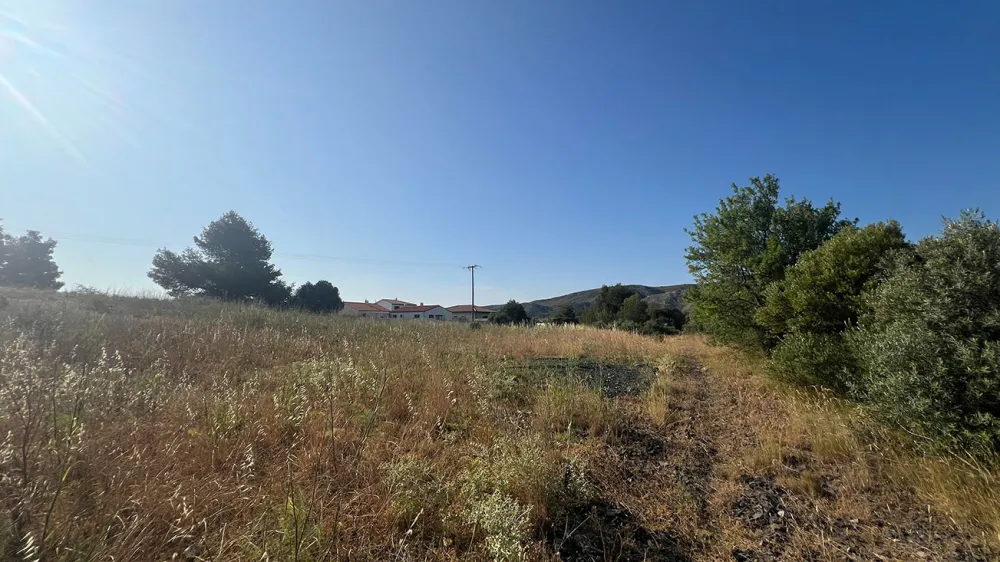 Image du modèle de maison 6.jpg