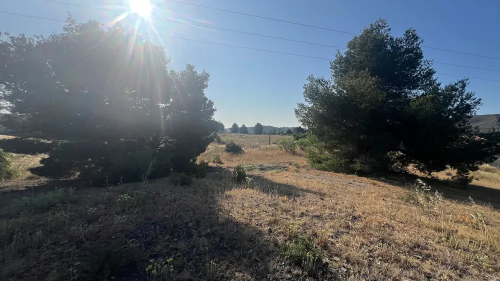 Image du modèle de maison 3.jpg