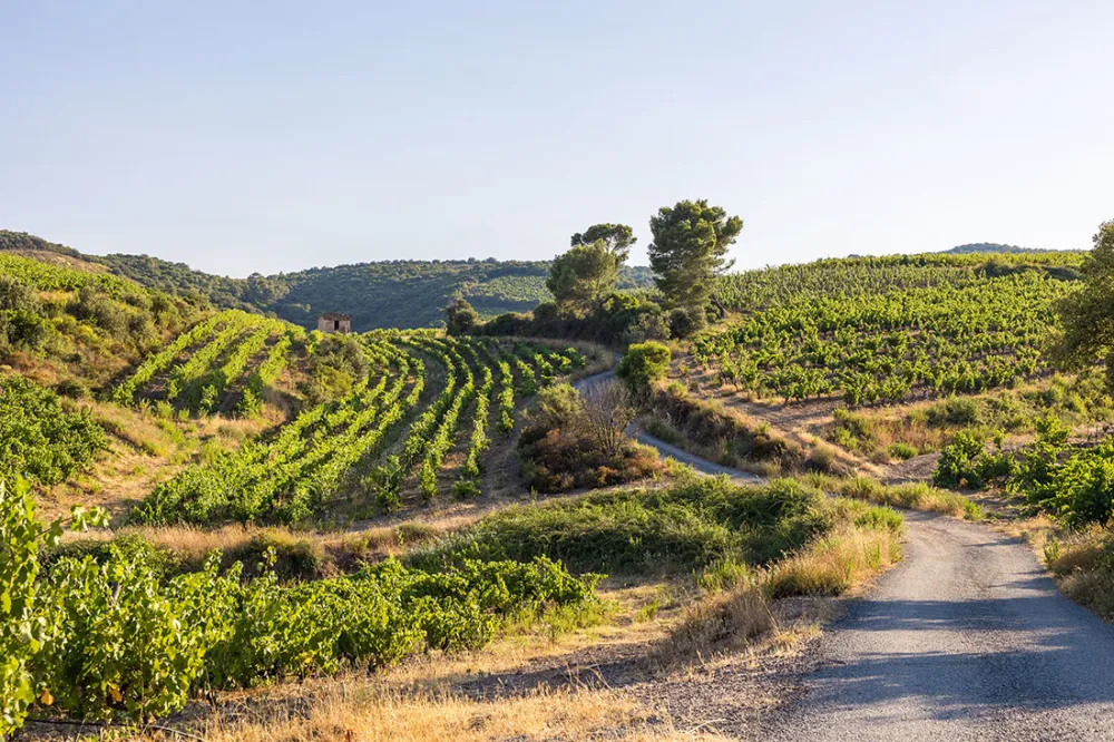 Image du modèle de maison 5.jpg