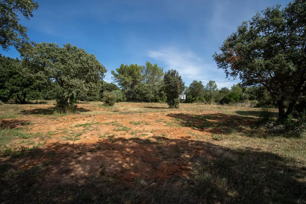 Image du modèle de maison 10.jpg