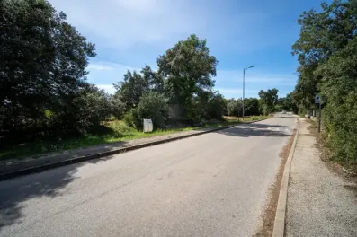 Image du modèle de maison 5.jpg