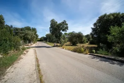 Image du modèle de maison 6.jpg