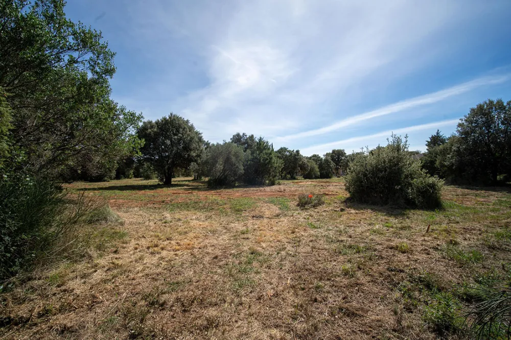 Image du modèle de maison 7.jpg