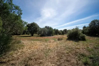 Image du modèle de maison 7.jpg