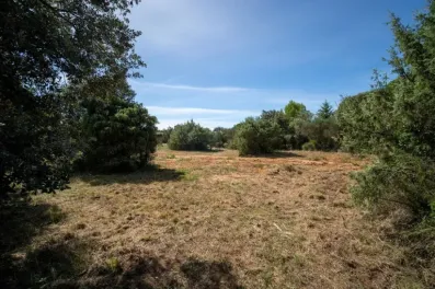 Image du modèle de maison 8.jpg