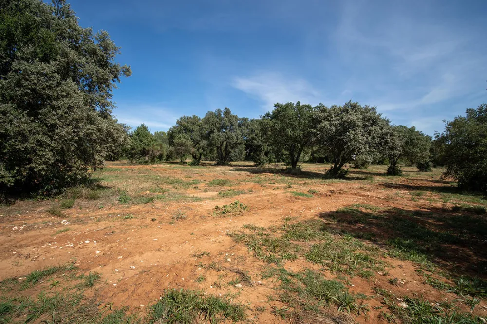 Image du terrain Terrain - 500