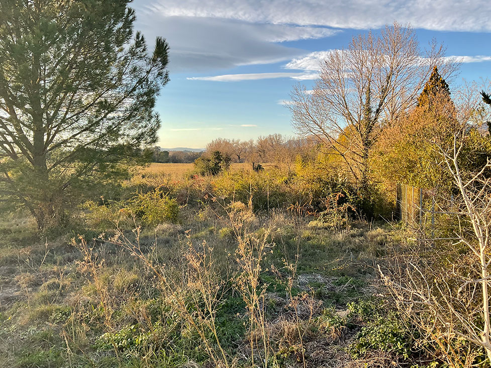 Image du modèle de maison 2.jpg