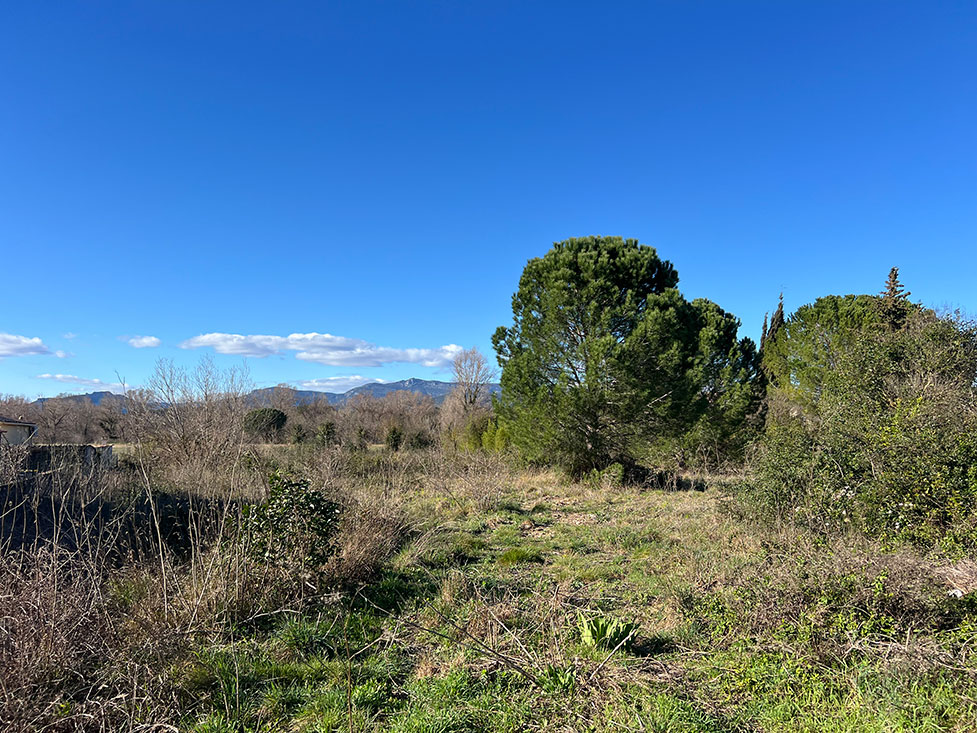 Image du modèle de maison 4.jpg