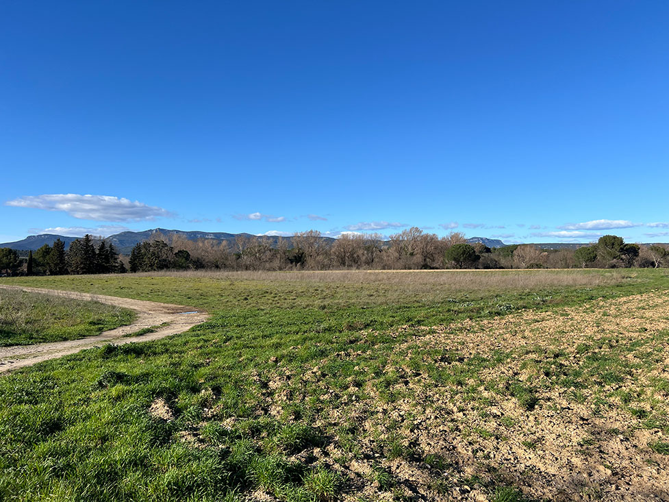 Image du modèle de maison 5.jpg