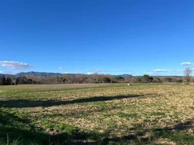 Image du modèle de maison 6.jpg