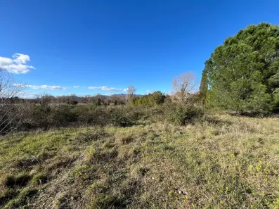 Image du modèle de maison 7.jpg