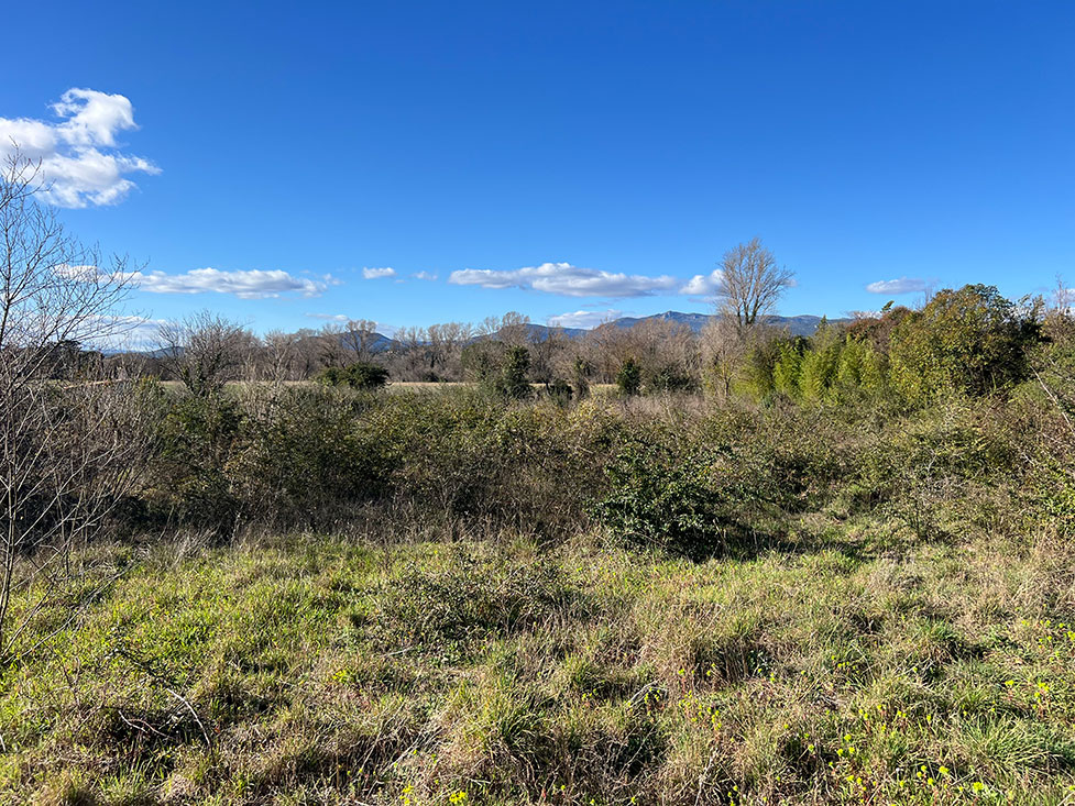 Image du modèle de maison 8.jpg