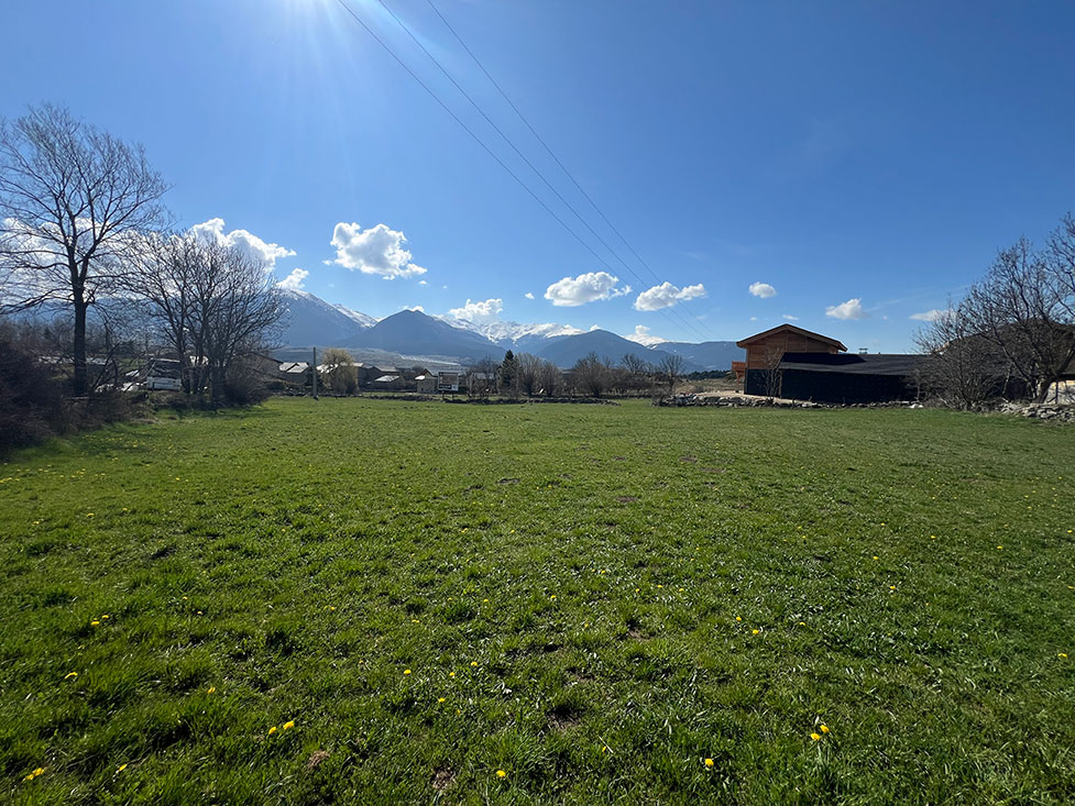 Image du modèle de maison 7.jpg