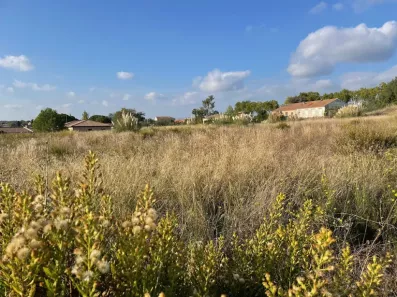 Image du modèle de maison 1.jpg