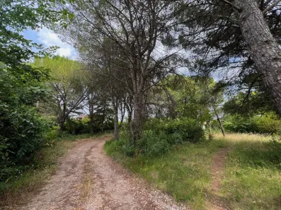 Image du modèle de maison 1.jpg