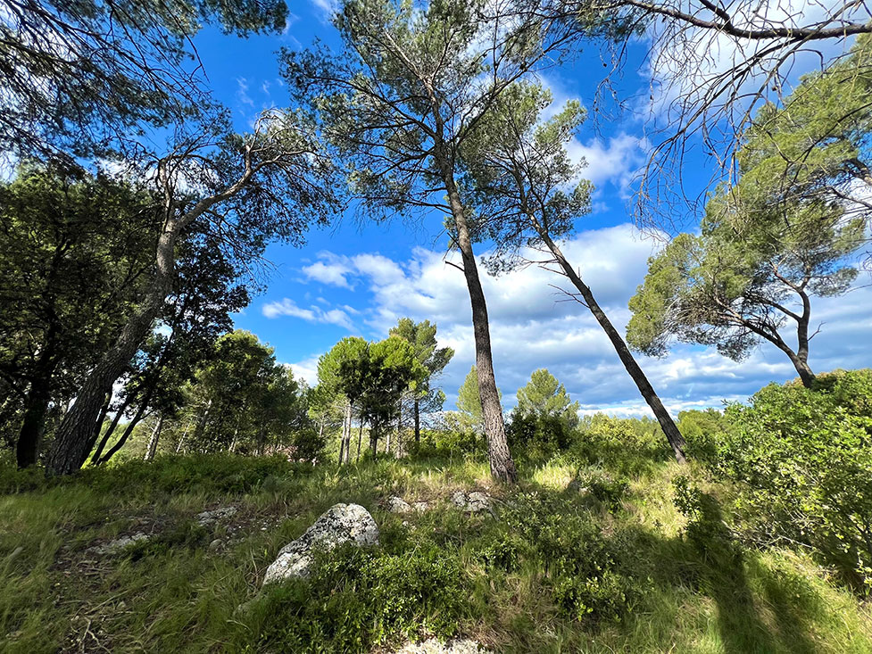Image du terrain Terrain - 450