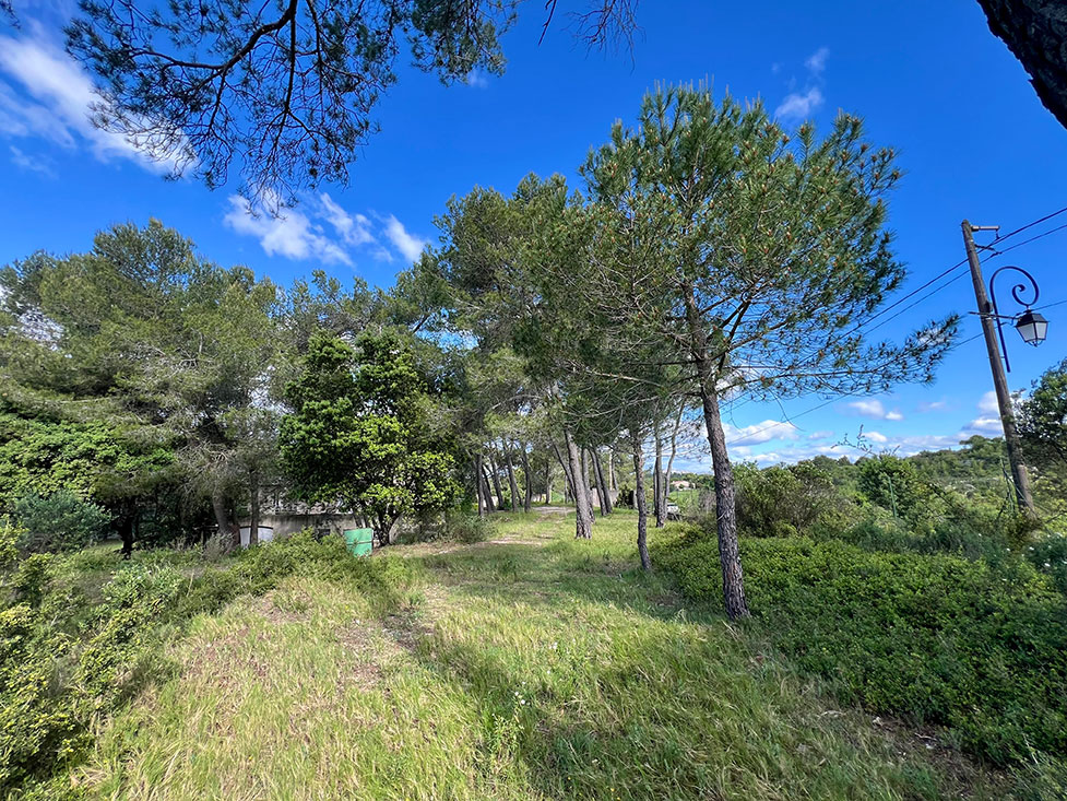 Image du modèle de maison 4.jpg