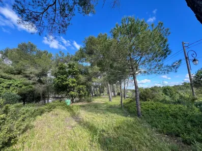 Image du modèle de maison 1.jpg