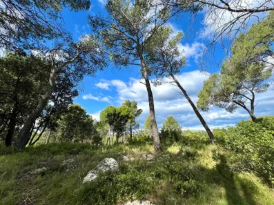 Image du modèle de maison 3.jpg