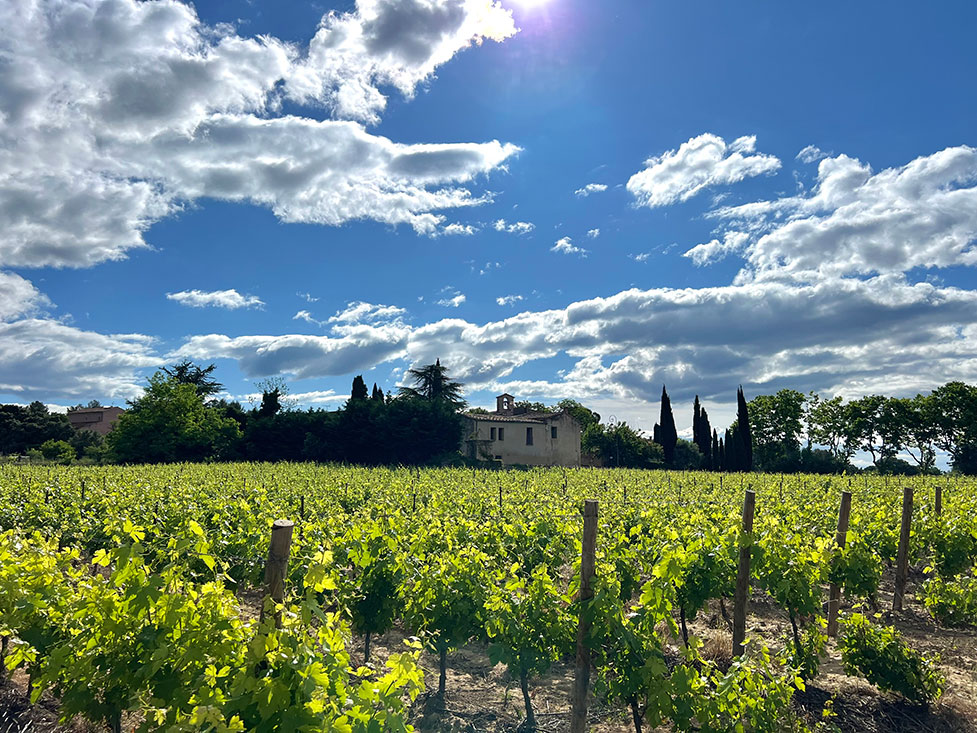 Image du modèle de maison 6.jpg