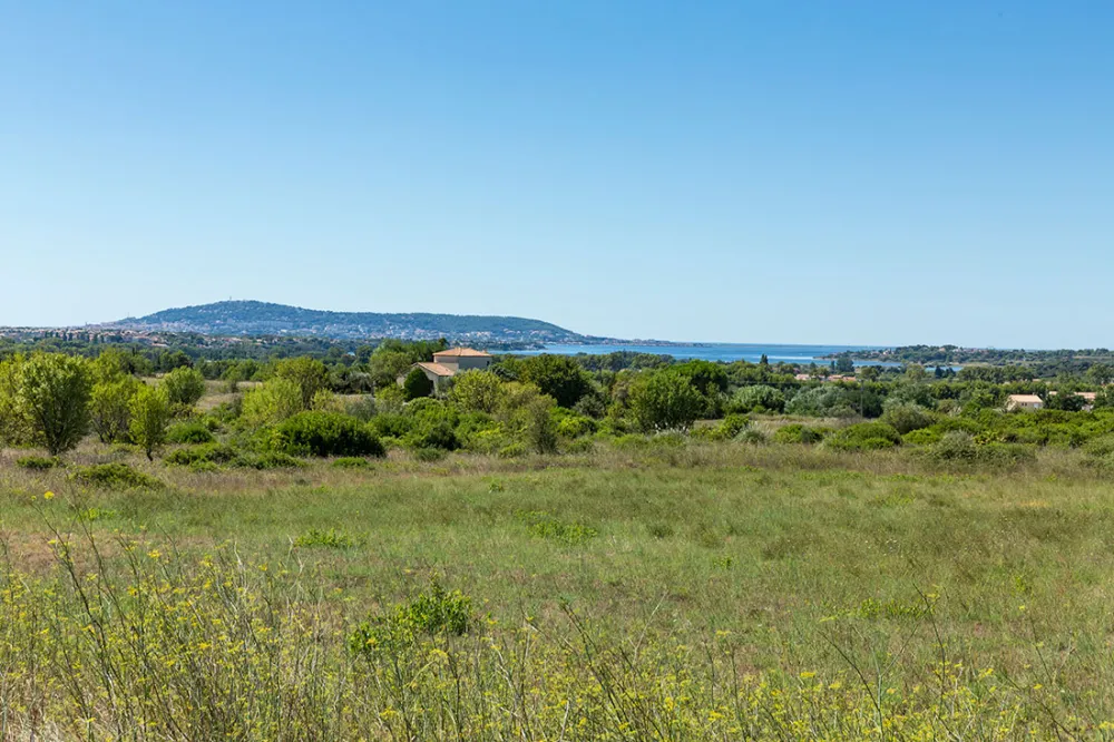 Image du modèle de maison 4.jpg