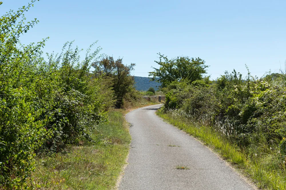 Image du modèle de maison 6.jpg