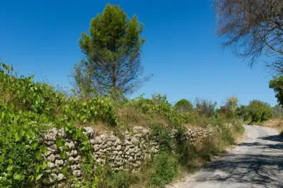 Image du modèle de maison 8.jpg