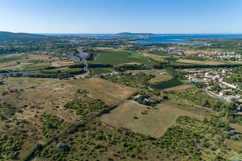 Image du modèle de maison 1.jpg