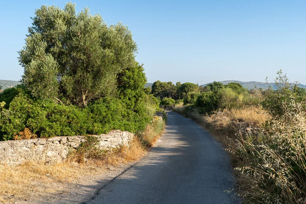 Image du modèle de maison 2.jpg